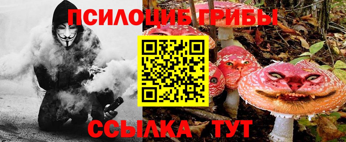 Псилоцибиновые грибы ЛСД Кызыл