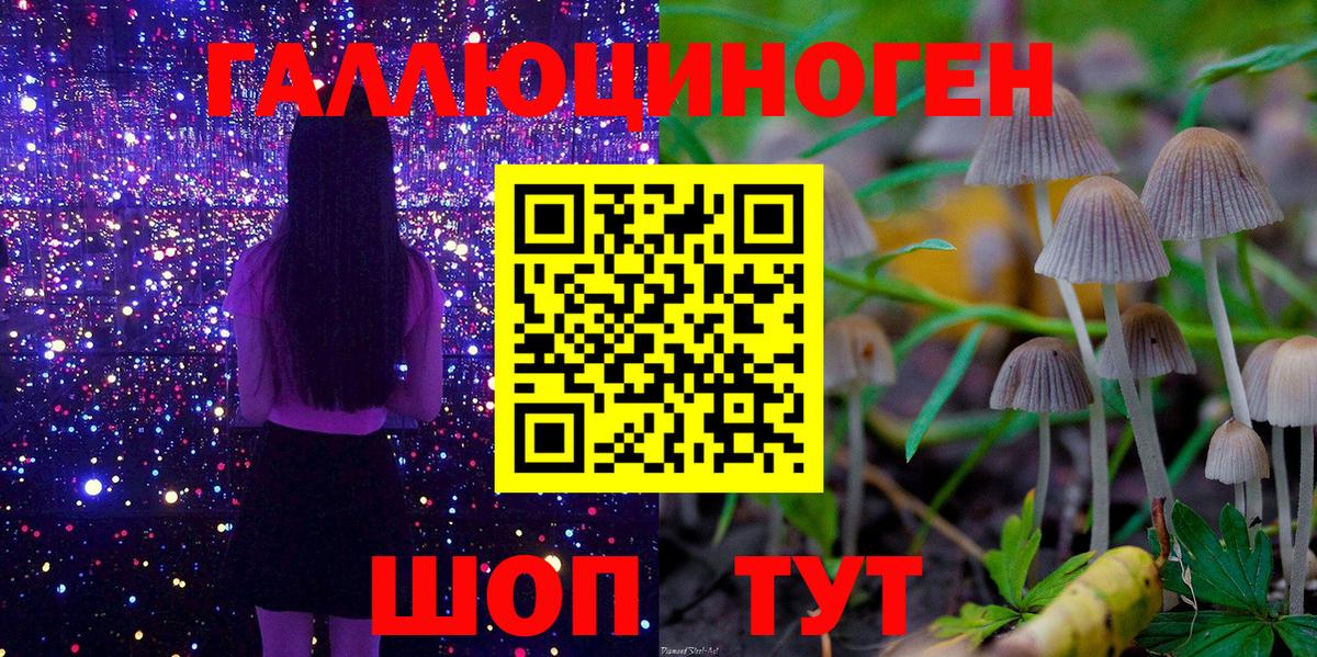 как найти закладки  Псилоцибиновые грибы мицелий  Вход с VPN  Кызыл 